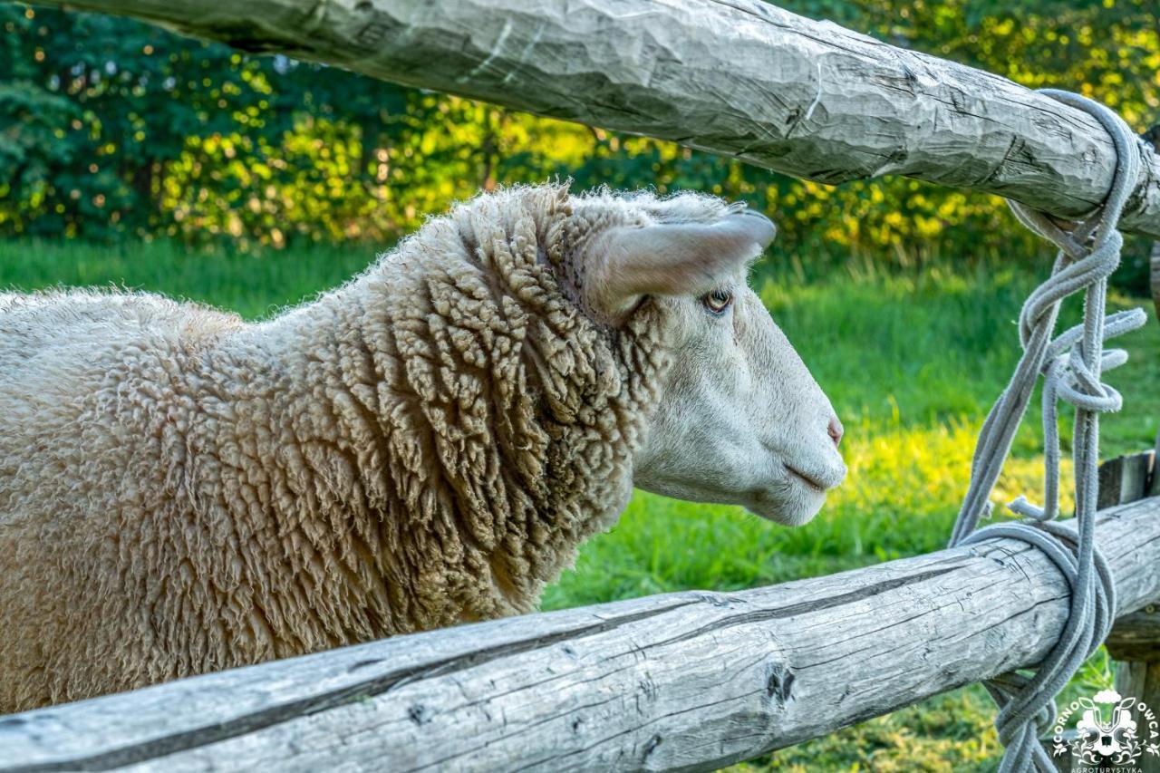 Agroturystyka Corno Owca Zabnica Esterno foto